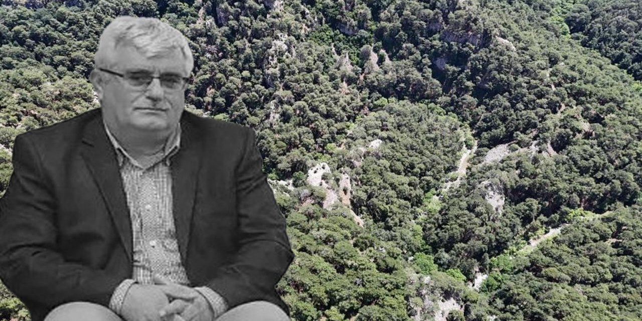 O İlin Kurum Müdür Yardımcısı Sırra Kadem Bastı! Ormanda Arama Başlatıldı