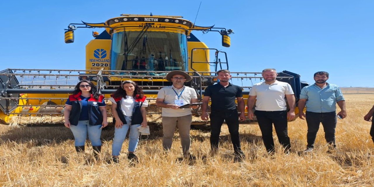 Şırnak’ta Buğday ve Arpa Hasadı Başladı