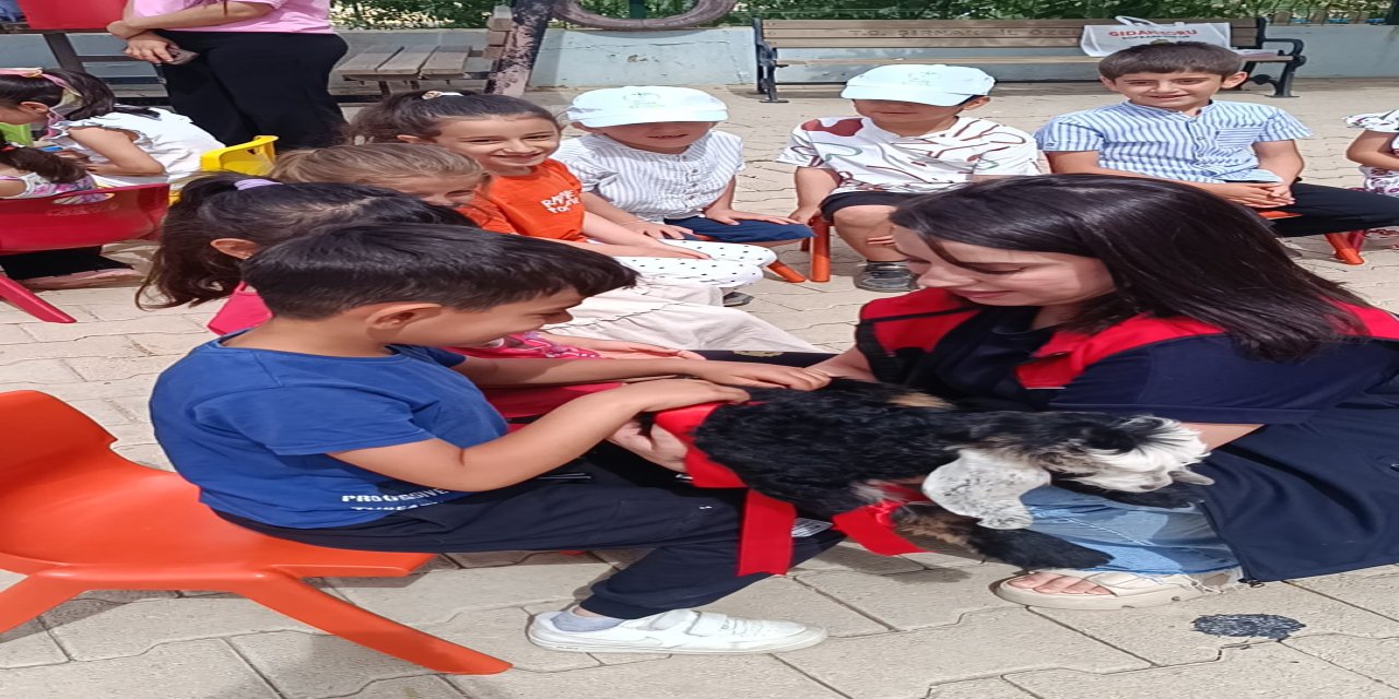Şırnak’ta Minikler Keçi Sağımını Uygulamalı Gördü