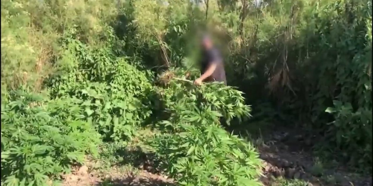 Dicle nehrinde ekilmişti, imha edildi; değeri ise 100 milyon TL
