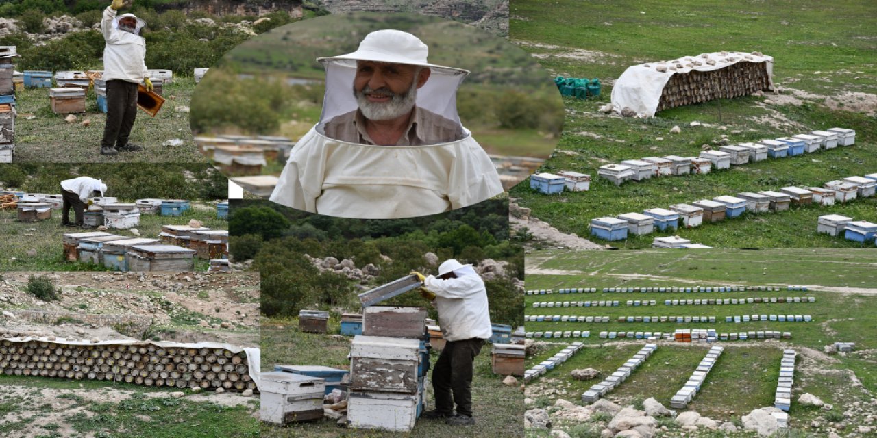 Şırnak’ın Dağlarında Bal Yolculuğu