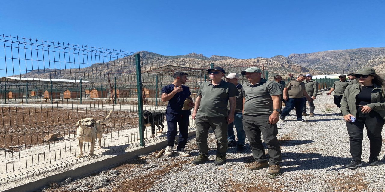 Şanlıurfa DKMP Bölge Müdürü Mumcuoğlu'ndan Silopi Sahipsiz Hayvan Bakımevi'ne Ziyaret