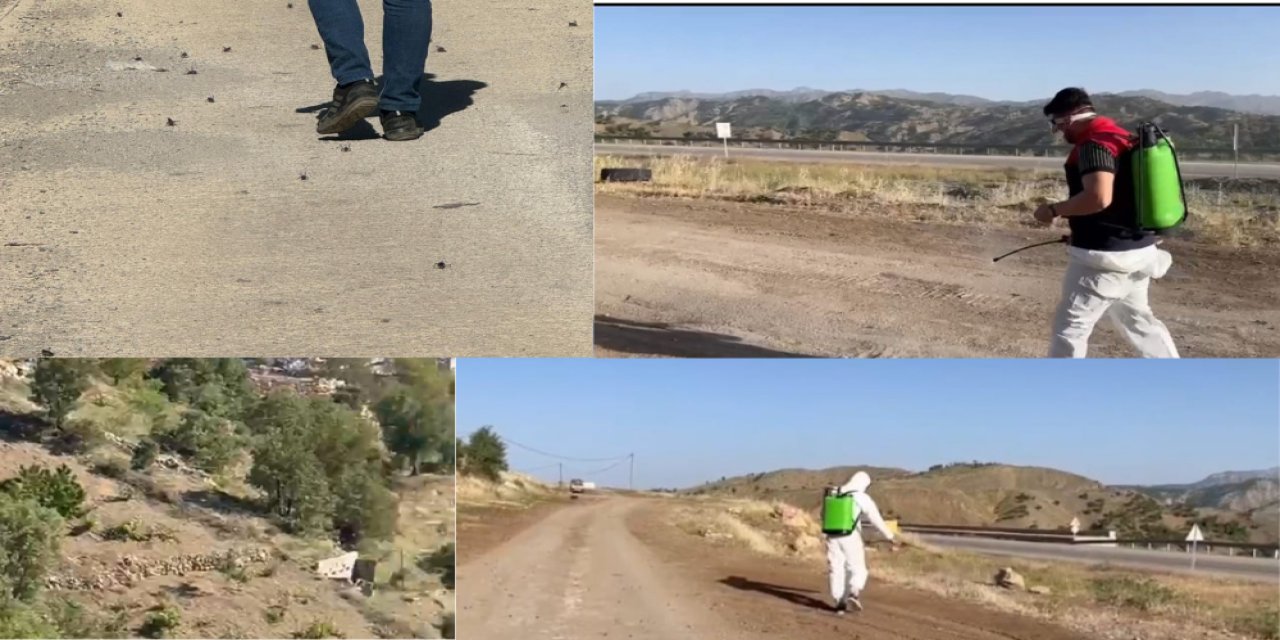 Her Yerde Görülmeye Başladı! Şırnak’ta Panik Yaratan Olay