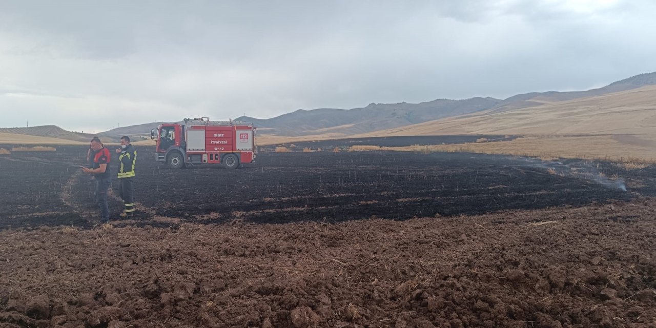Siirt’te Buğday Tarlasına Yıldırım Düştü, Mahsul Küle Döndü