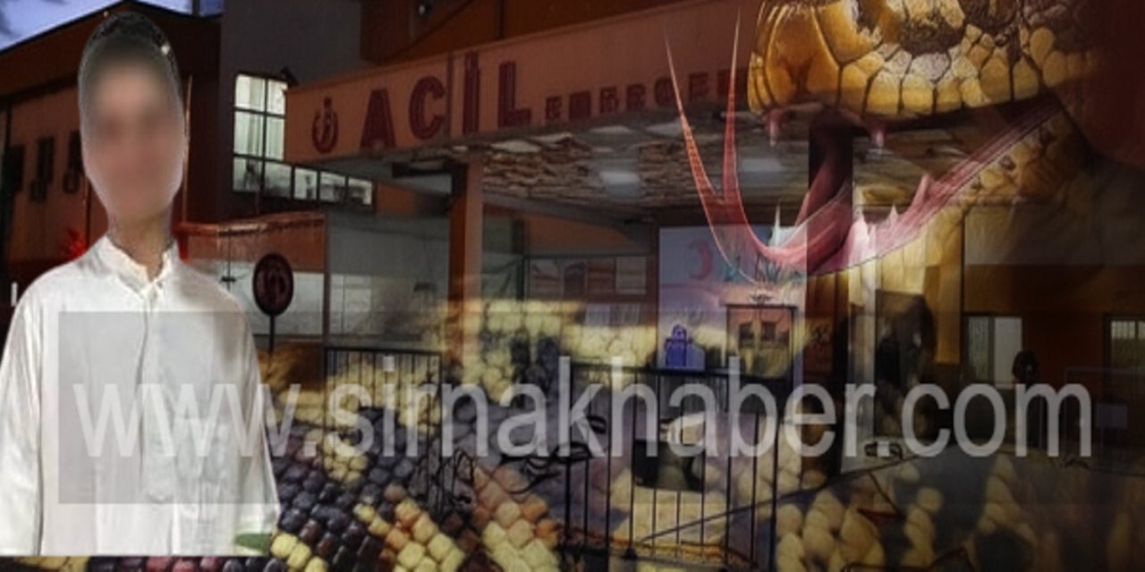 Şırnak’ta talihsiz çocuk yine ölümle burun buruna geldi