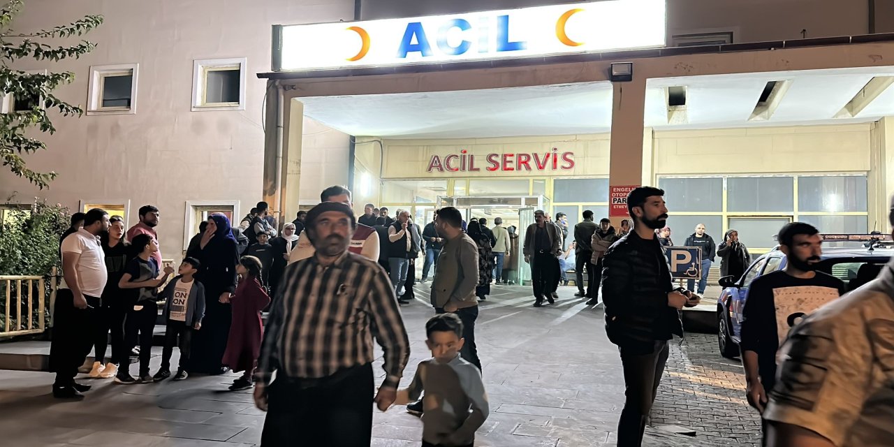 Tarladaki Hayvan Kavgası Kanlı Bitti: 9 Yaralı!