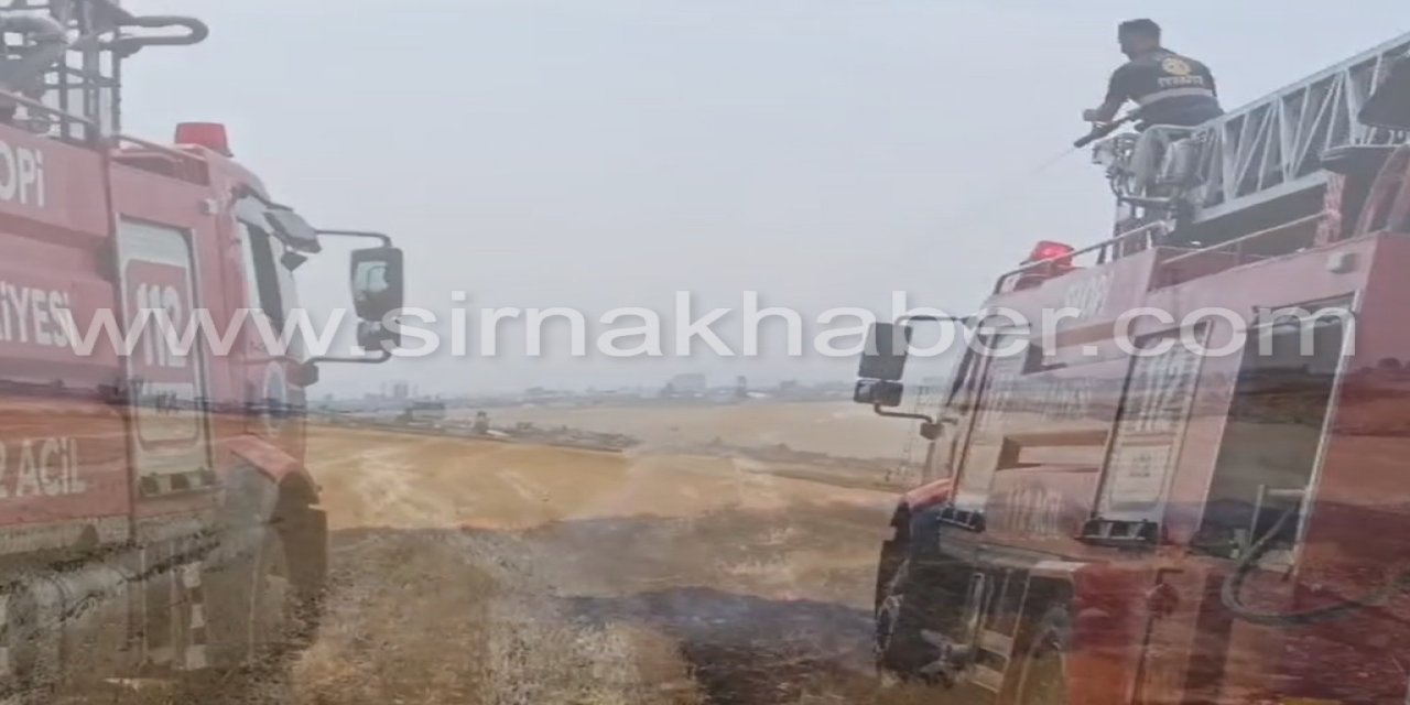 Silopi'de elektrik teli anız yangınına yol açtı
