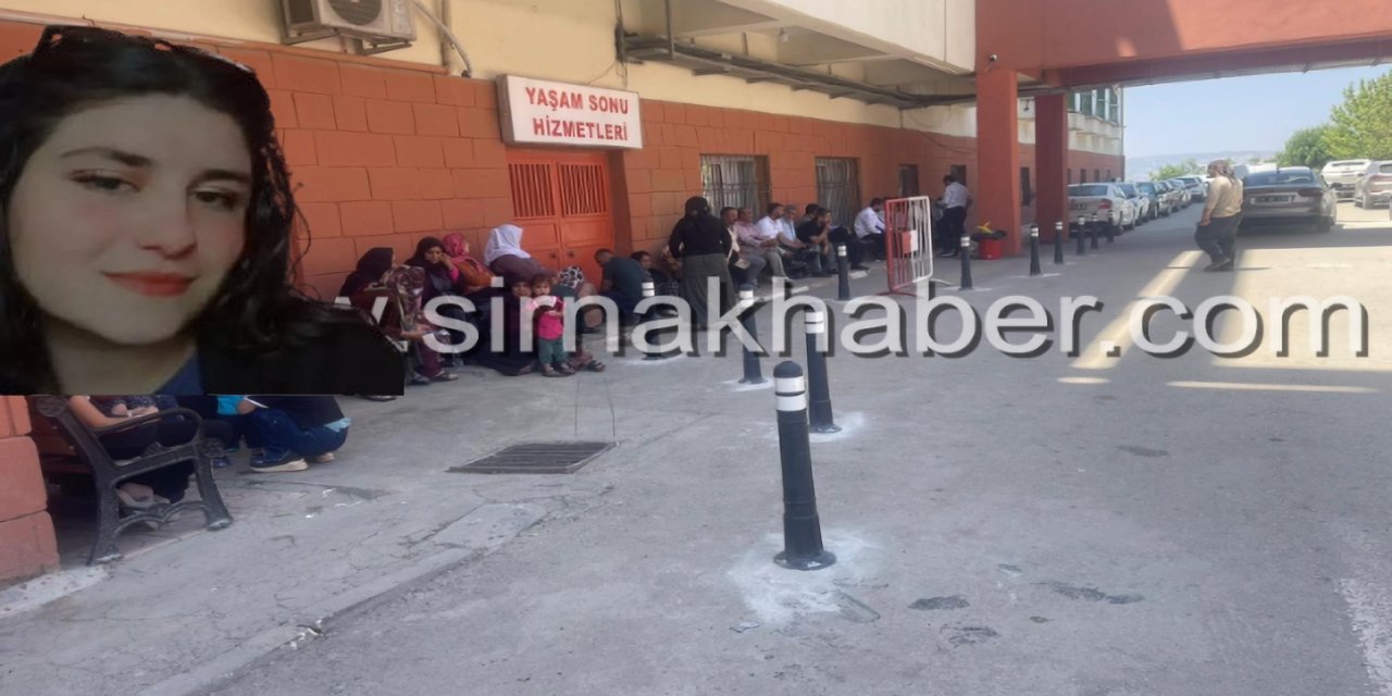 Şırnak'ta Elektrik Akımında Ölen Kişinin Kimliği Belli Oldu: 16 Yaşındaki Elif Uçar Hayatını Kaybetti