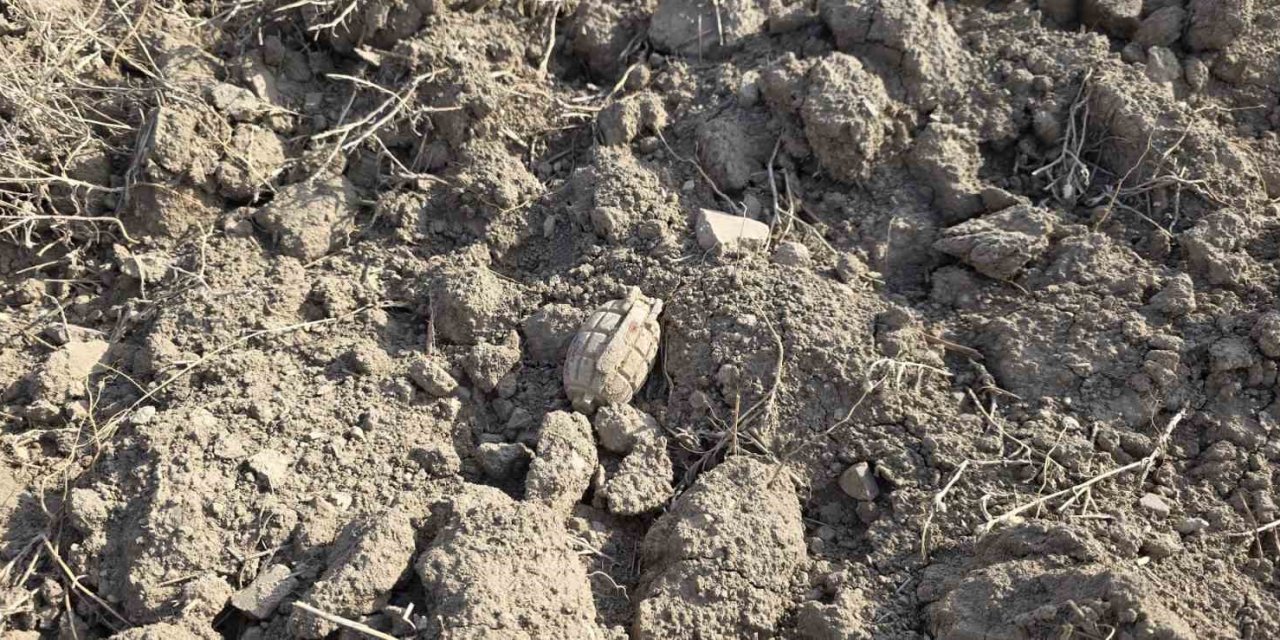 Tarlada Sakarya Meydan Muharebesinden kalma patlamamış el bombası buldu