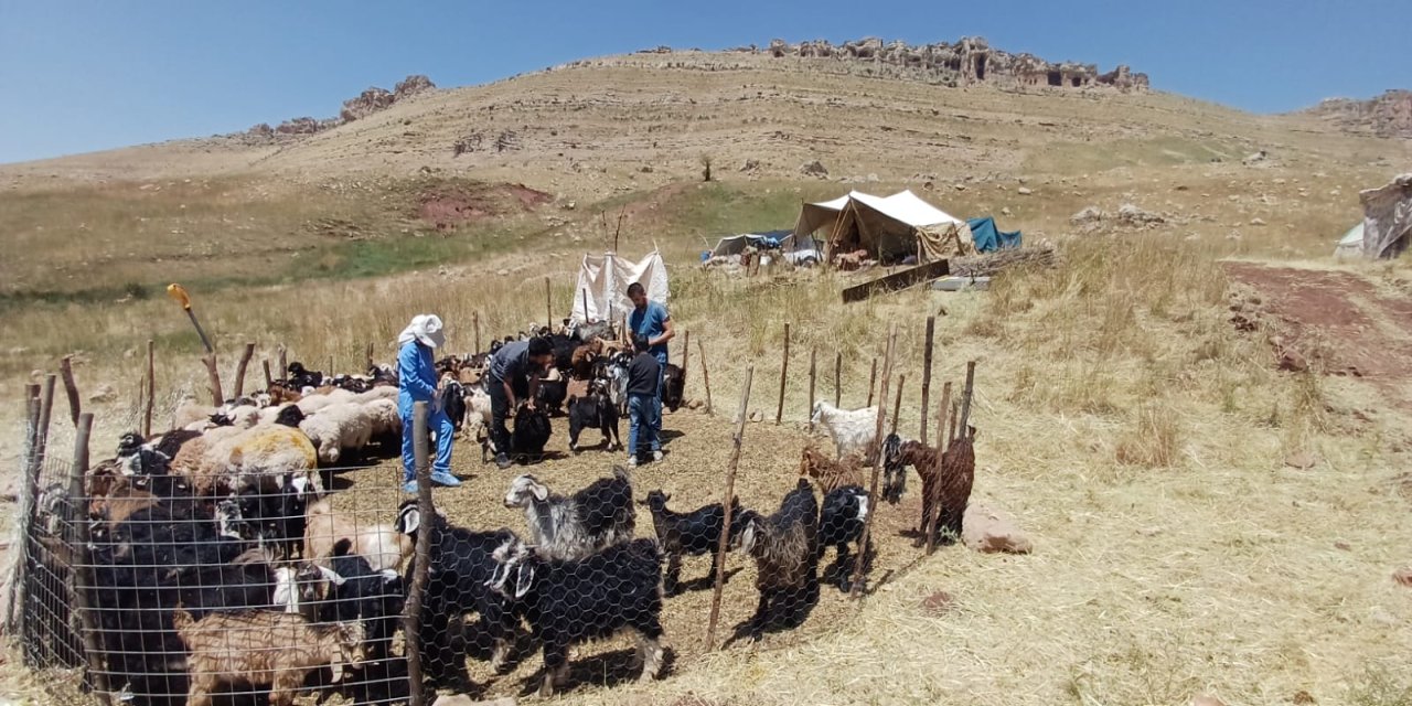 Şırnak'ta Göçer Yetiştiricilere Sağlık Hizmeti