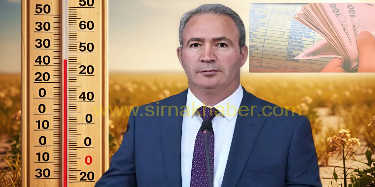 DEM Parti Vekili İrmez'den Şırnak İçin Elektrik Faturası Uyarısı: "Özel Tarife Gelsin"