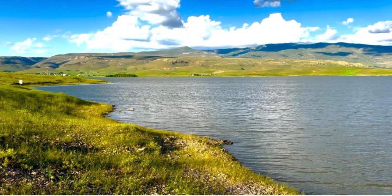 Patnos Barajı'nda balık çeşitliliği azalıyor