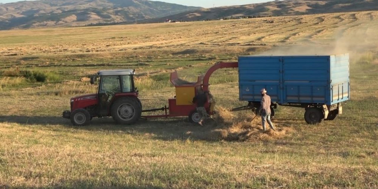 Cizre'de çiftçilerin kavurucu sıcak altındaki Patos geleneği devam ediyor