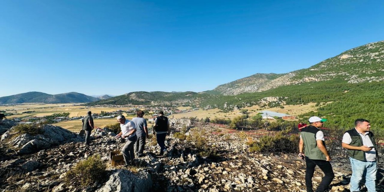 Bucak'taki orman yangını söndürüldü