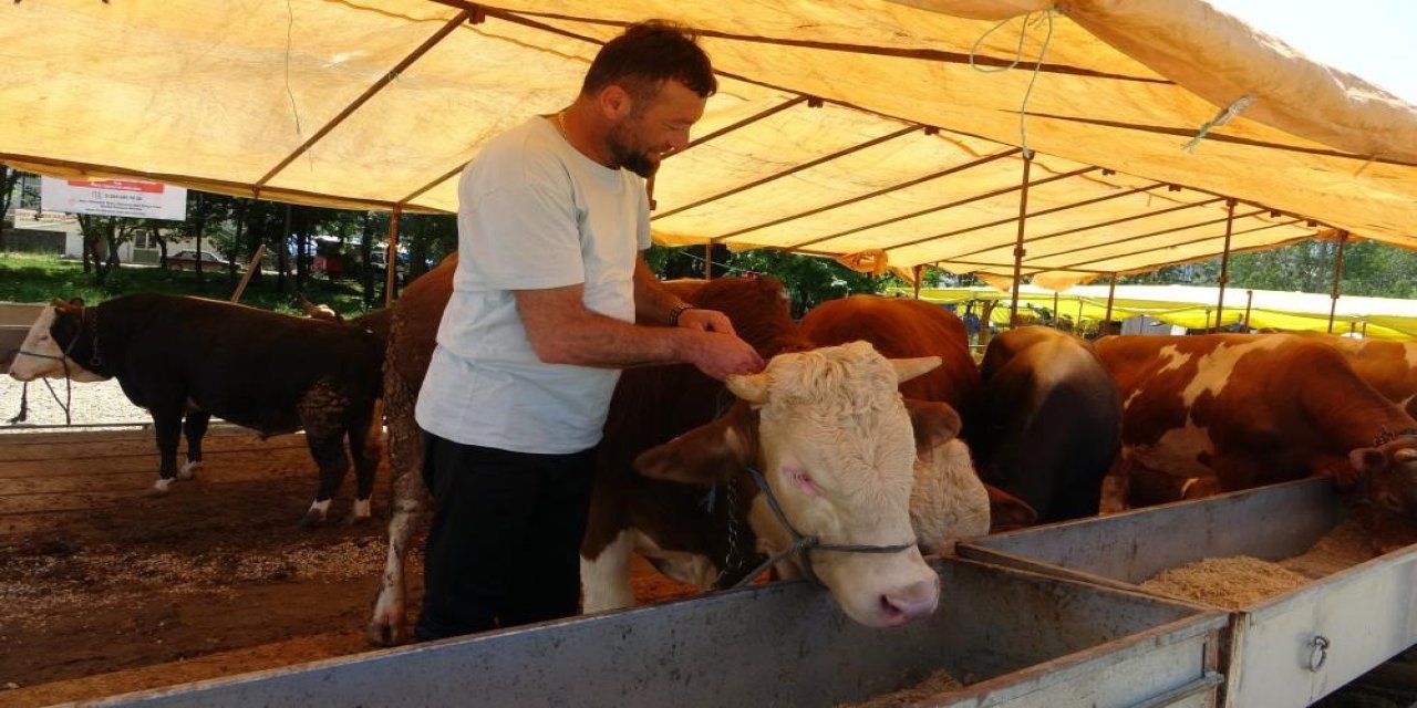 Şırnak dahil 81 ildeki tüm hayvan pazarları kapatıldı