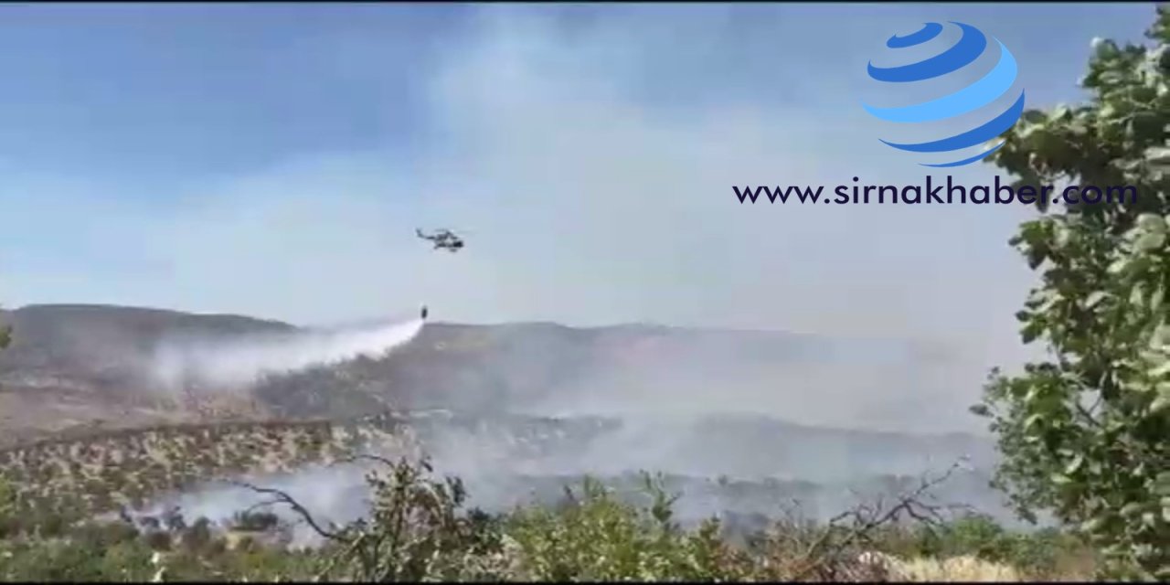Gabar Dağı’nda Yangın Kontrol Altında!