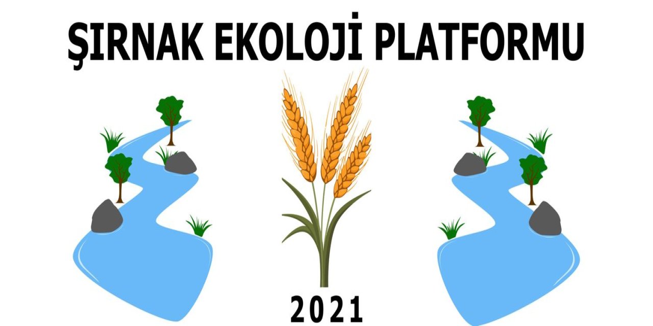 Şırnak Ekoloji Platformu’ndan Yangınlara Karşı Uyarı ve Çağrı