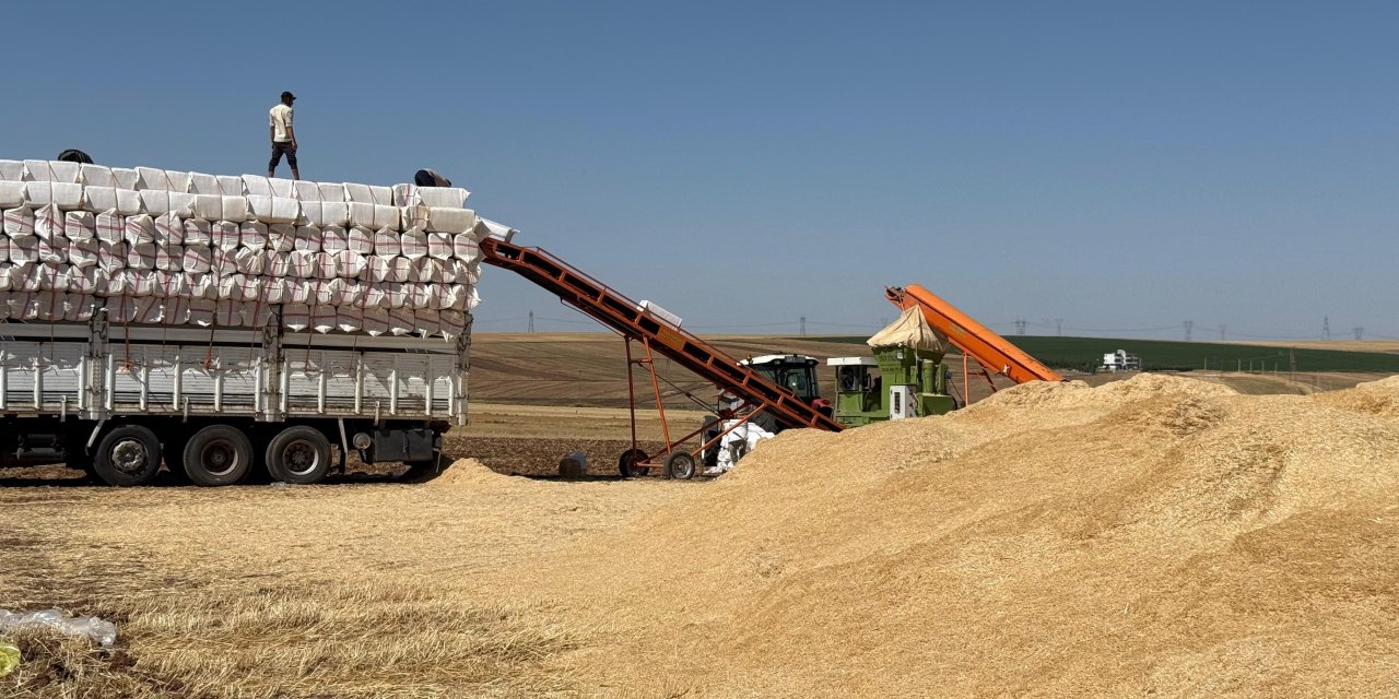 Diyarbakır'da samancıların kavurucu sıcak altındaki Saman yükleme çalışması