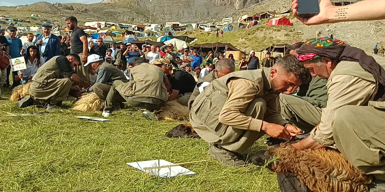 Beytüşşebap’ta Kuzu Kırkma ve Yoğurt Yarışması Rüzgârı