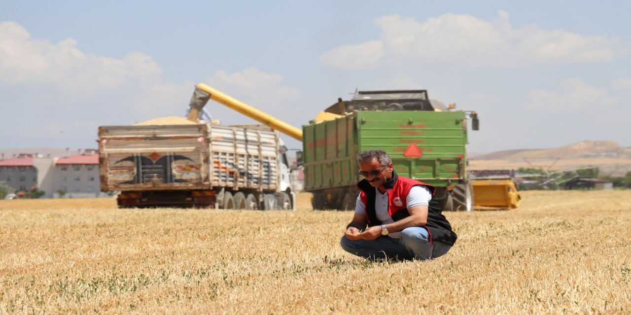Kuraklık Çiftçileri Vurdu: Rekoltede Büyük Düşüş