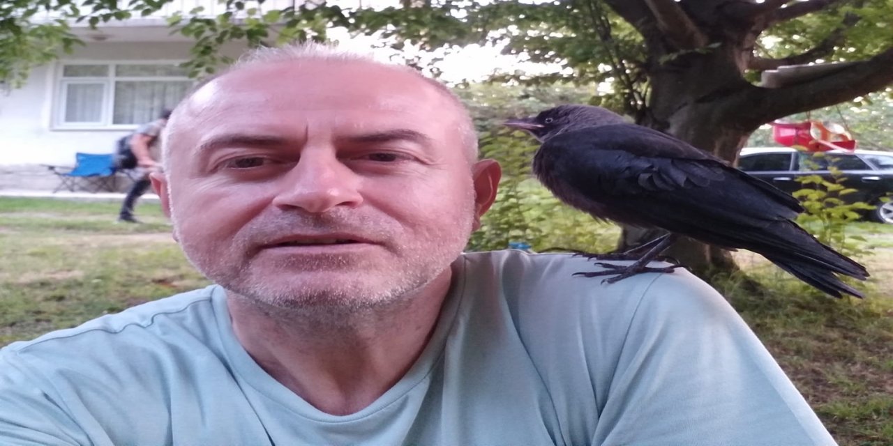 Besle kargayı, dostun olsun