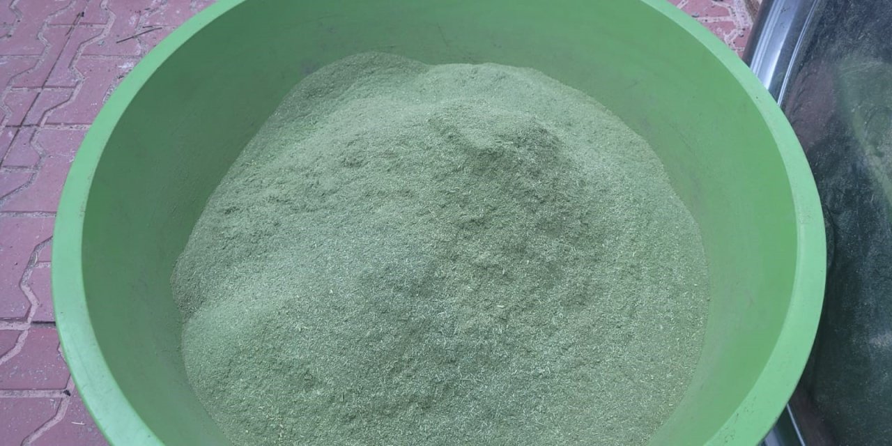 120 Sırla Harmanlanan Lezzet: Zetrin!