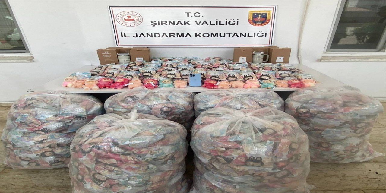 Şırnak’ta Jandarmadan Kaçakçılığa Darbe: 5,6 Milyon TL’lik Kaçak Malzeme Ele Geçirildi
