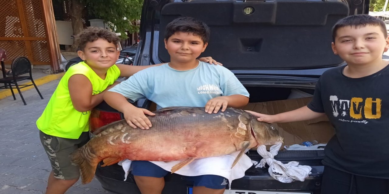 Amatör balıkçı 38 kiloluk sazan yakaladı