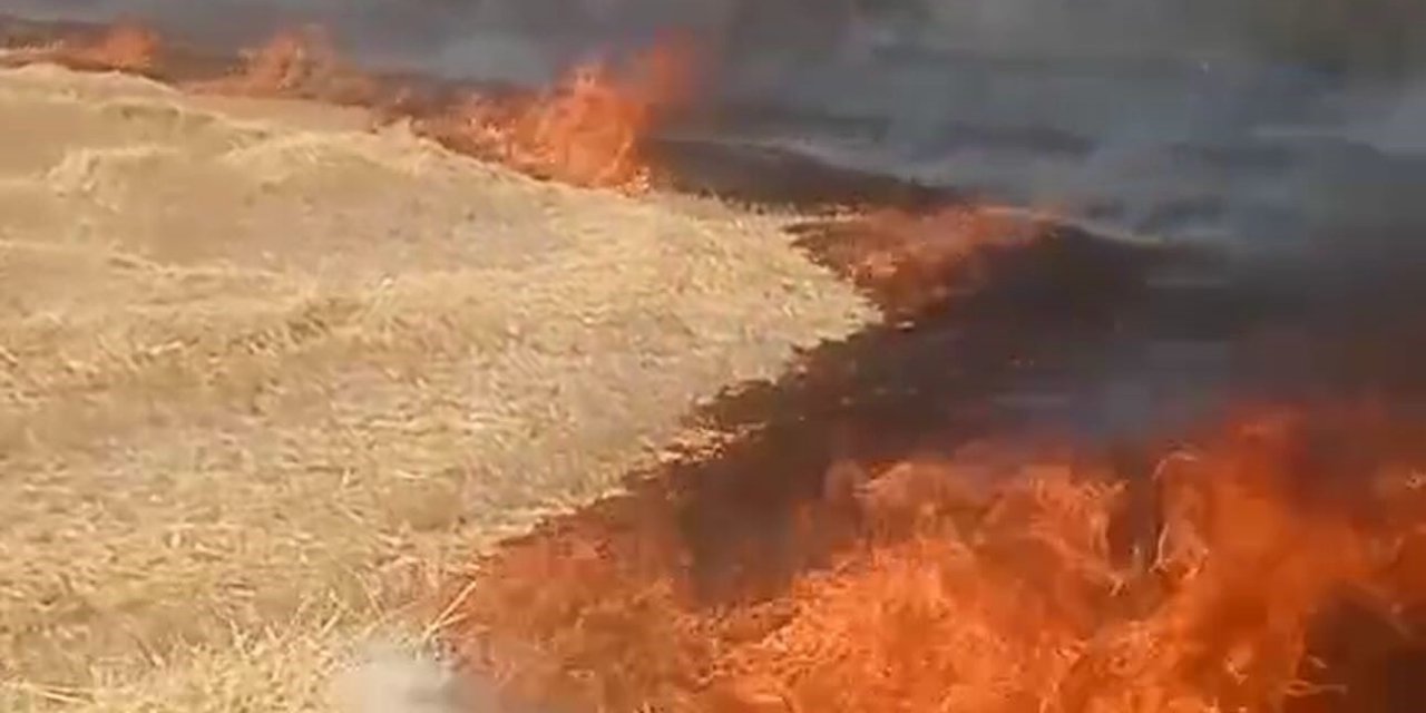 Ankara’da anız yangını