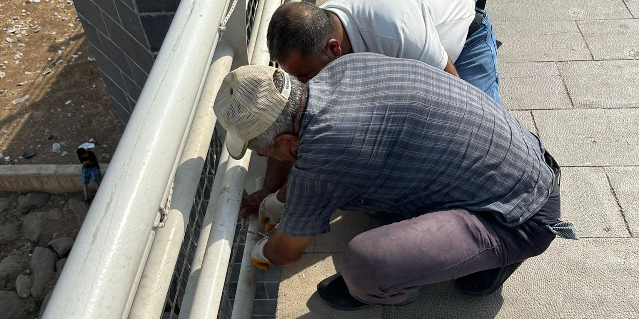 Cizre Belediyesinin yapmış olduğu çalışma takdir topladı