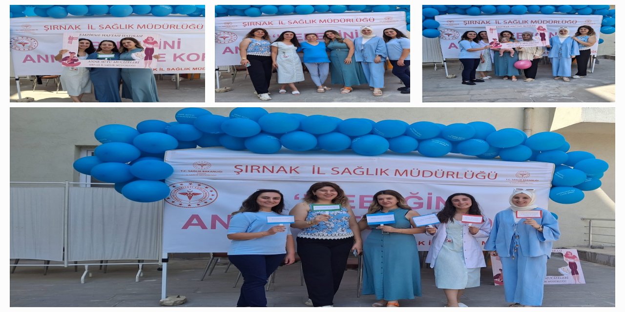 Şırnak'ta Emzirmenin Önemi Bir Kez Daha Hatırlatıldı