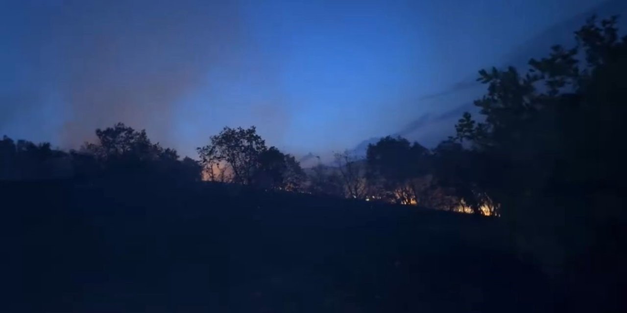 Yerleşim Yerlerine Kadar Geldi