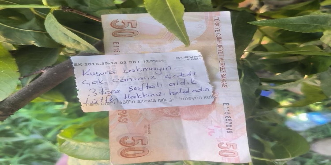 İnsanlığın Notu