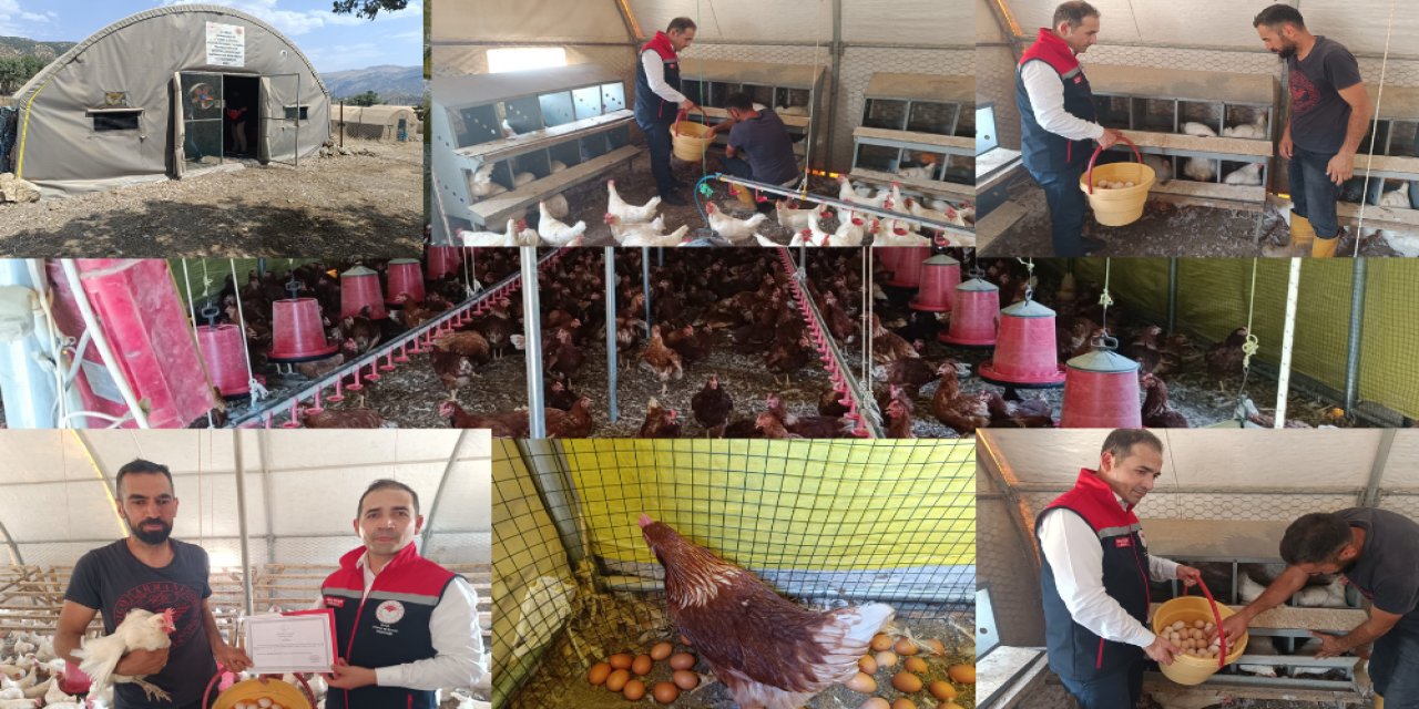 Şırnaklı Çiftçi Organik Yumurtada Bölgeye Örnek Oldu