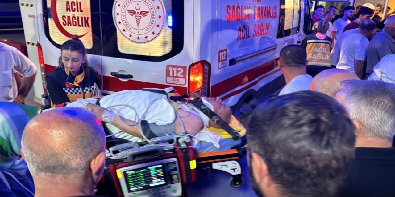 Eşeğe çarpmamak için direksiyon kırdı, 3 Yaralı
