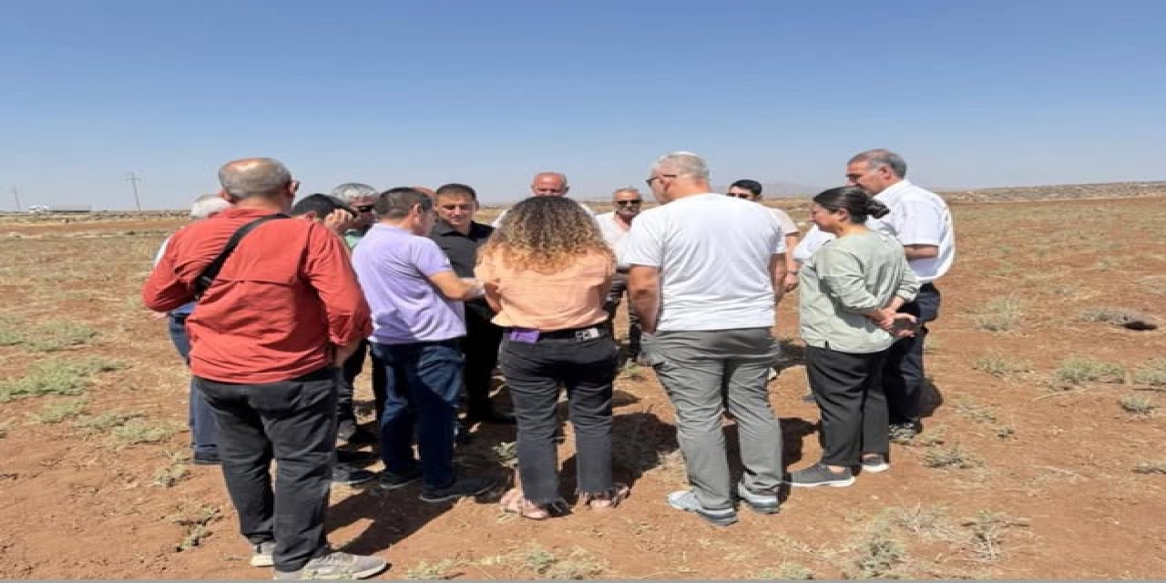 DEM Parti’den İmar ve Yatırım Analizi: Cizre ve İdil’de Proje Çalışmaları