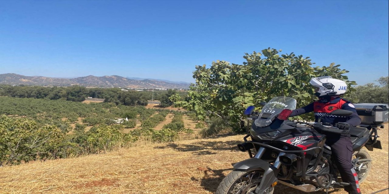 Hasat Sezonunda Jandarma Alarmda