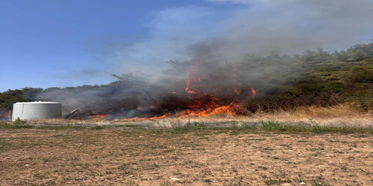 İzmir Menderes'te orman yangını