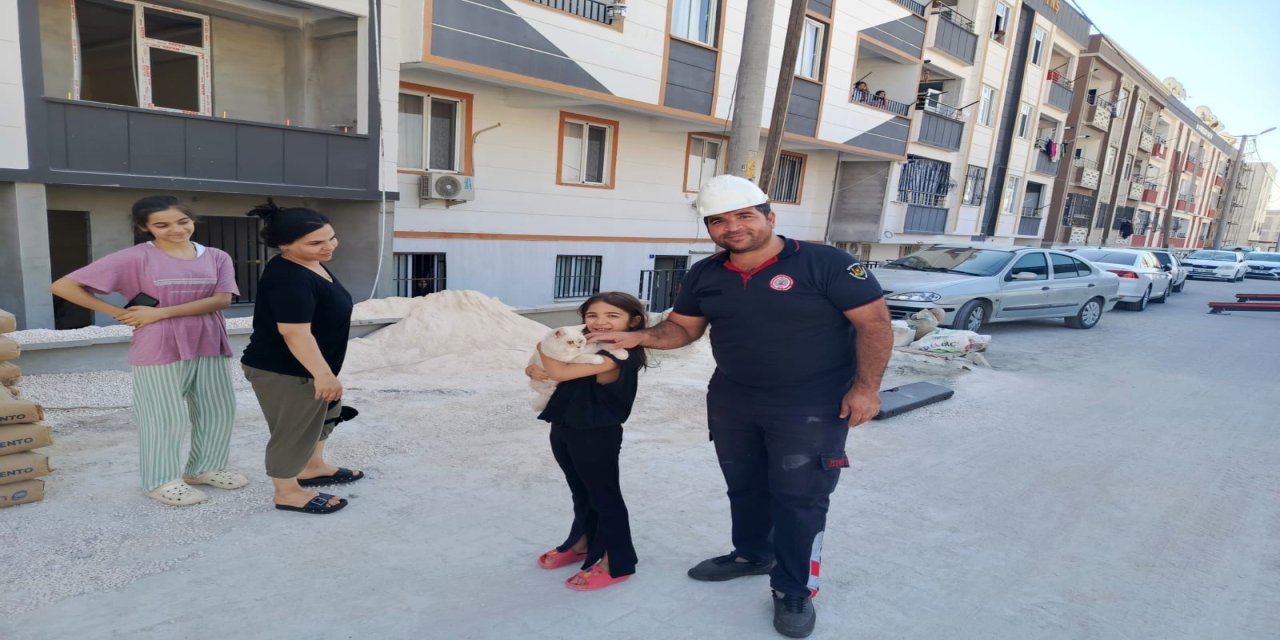 Kedi İçin Seferber Oldular