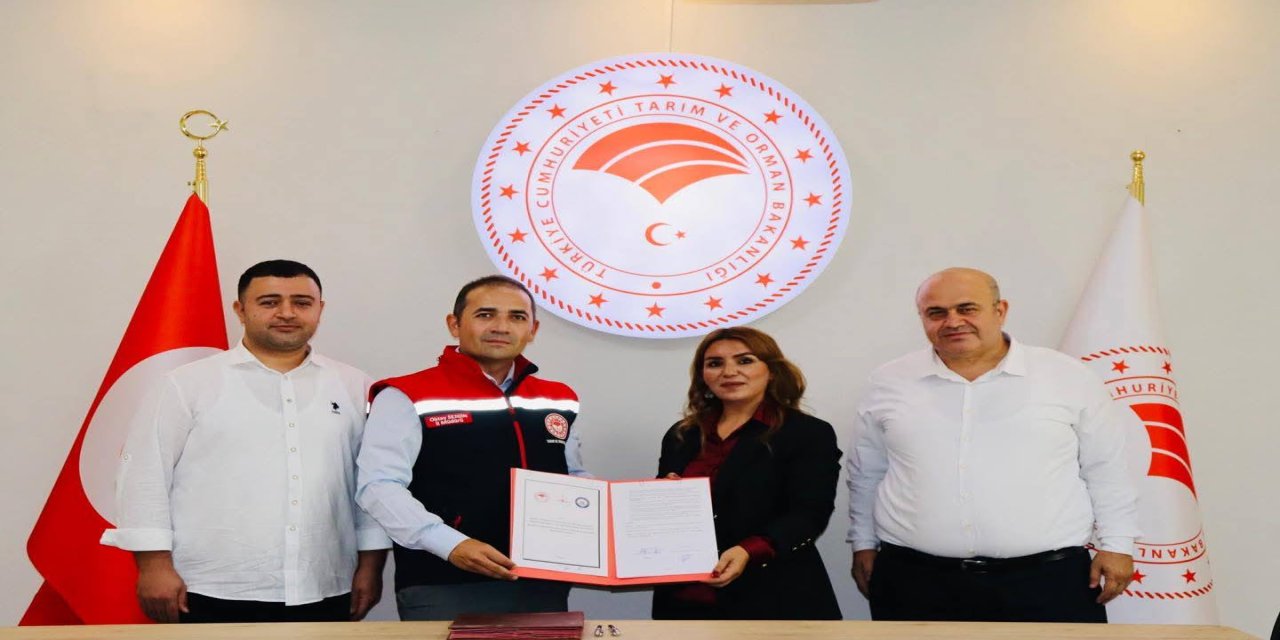 Şırnak'ta kadınlara büyük destek! Tarımda Kadın Eli Projesi başladı