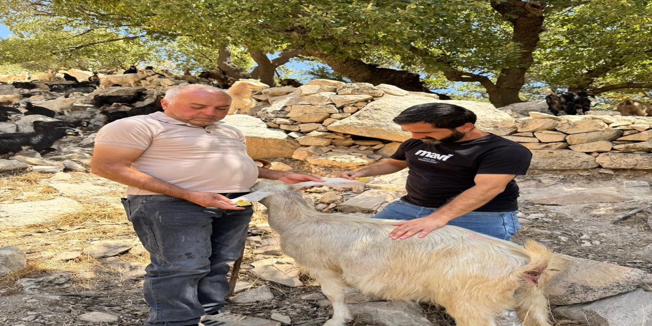 Devlet Desteğiyle Kendi İşini Kurdu: Şırnaklı Tahir Keskin’in Başarı Hikayesi