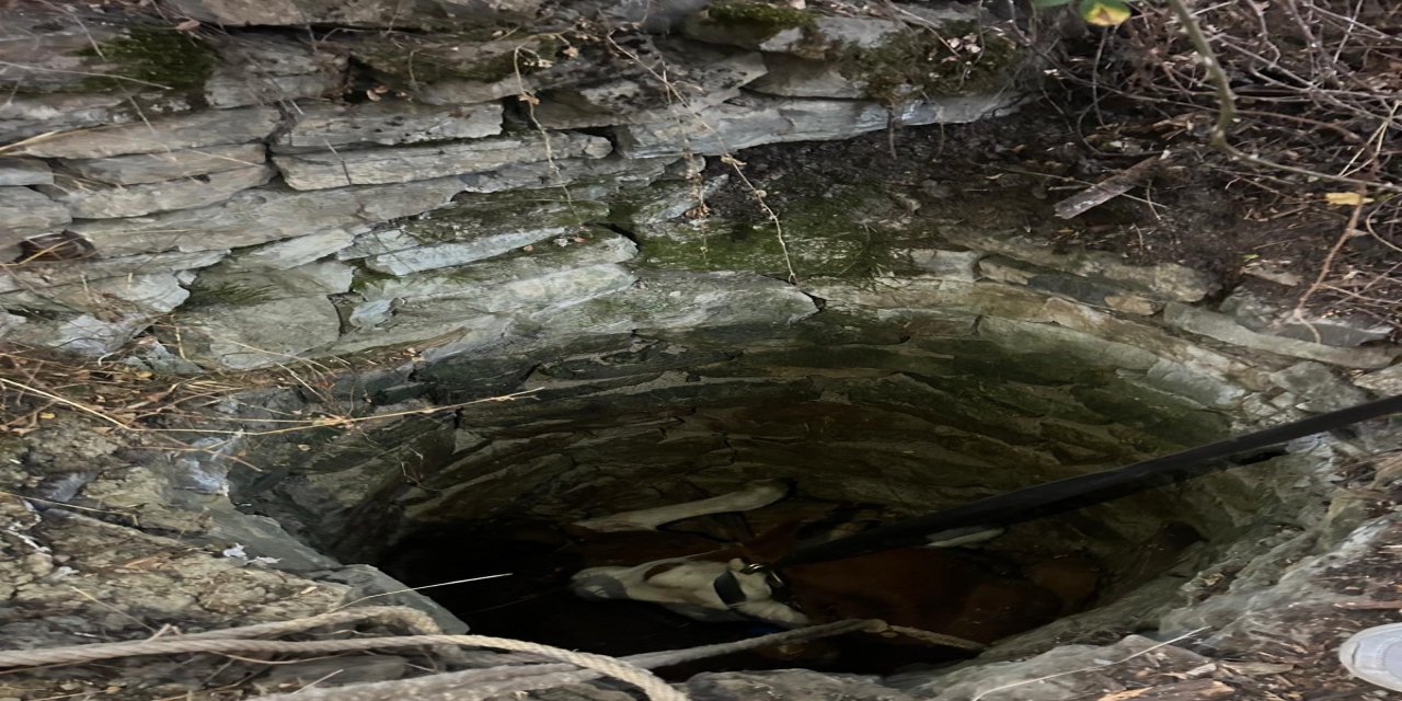 Su kuyusuna düşen inek için seferber oldular!