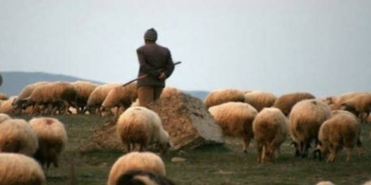 Van'da hayvan otlatma kavgası: 1 ölü, 2 yaralı