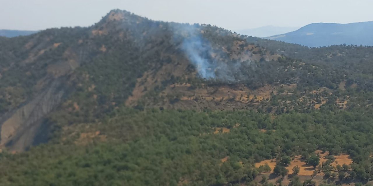 Şırnak’ta orman yangını: Ekipler seferber oldu
