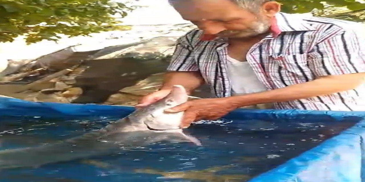 Balıkçının oltasına servet takıldı! 15 kiloluk balığı görenler gözlerine inanamadı