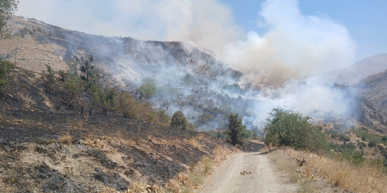 Türkiye-İran sınırında yangın: Vatandaşlar müdahale etti