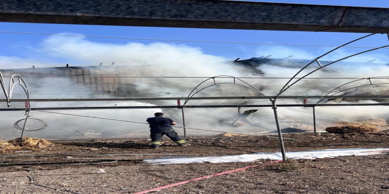 Çiftlikte çıkan yangında saman balyaları alevlere teslim oldu