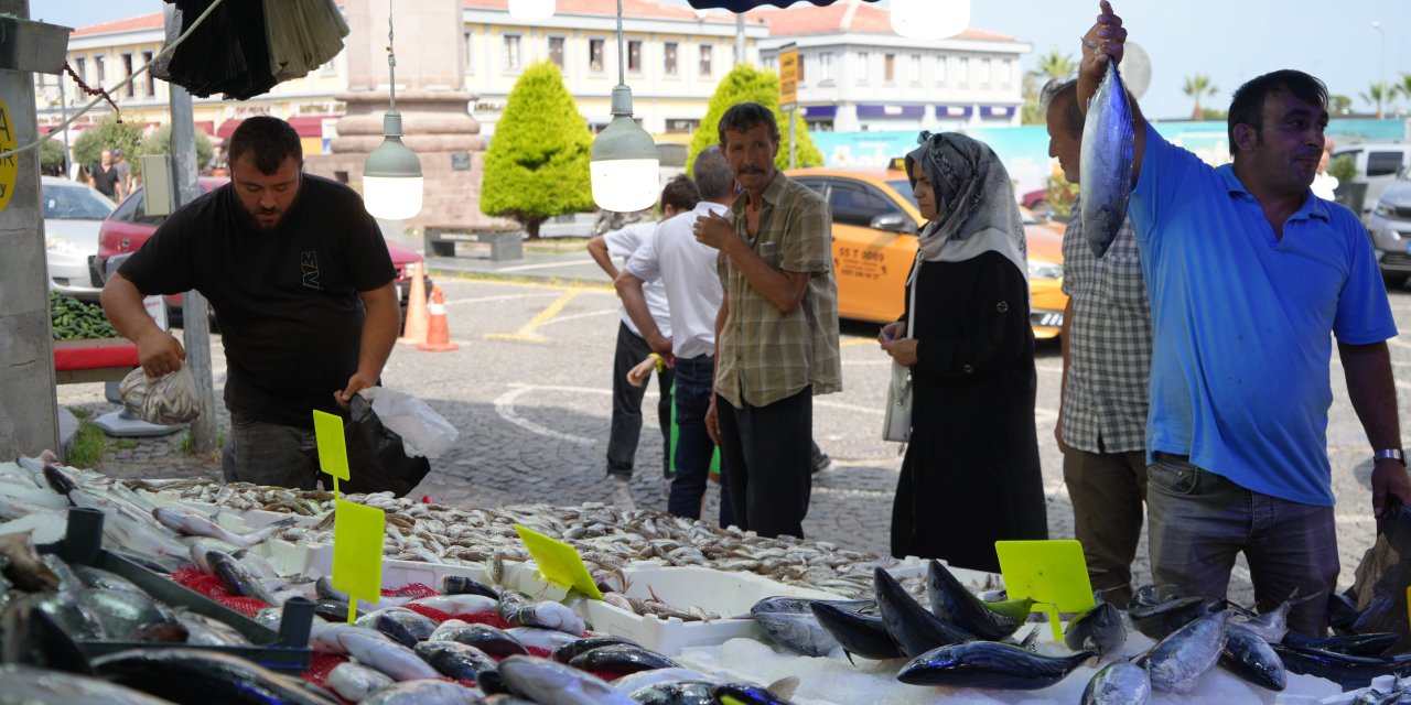 Hamsi için geri sayım başladı: Balıkçılar yolunu gözlüyor