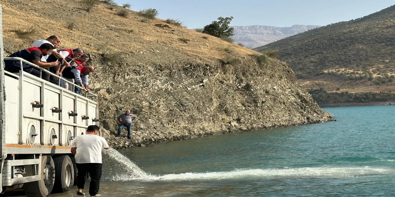 Balıklandırmada Rekor: Türkiye'nin Su Kaynakları Zenginleşiyor