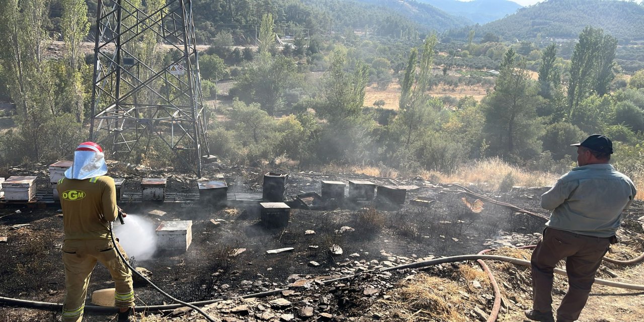 Alevler Gevenes'te Arıların Yuvasını Yaktı: Ormancı Türküsü Gerçek Oldu!